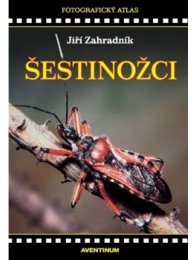Šestinožci