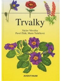 Trvalky