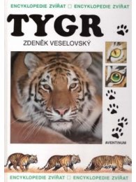 Tygr - encyklopedie zvířat