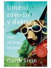 Umění závodit v dešti