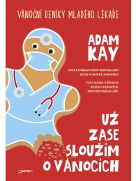Už zase sloužím o Vánocích