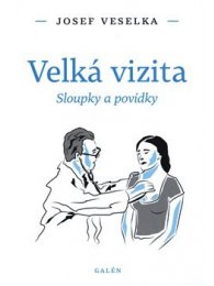 Velká vizita
