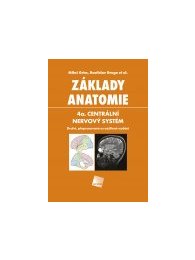 Základy anatomie. 4a. Centrální nervový systém