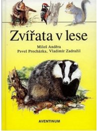 Zvířata v lese