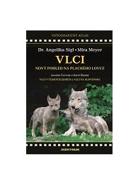 Vlci