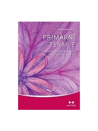 Primární terapie