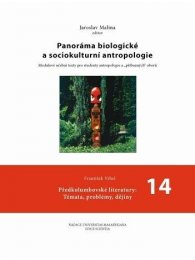 Předkolumbovské literatury: Témata, problémy, dějiny