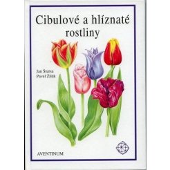 Cibulové a hlíznaté rostliny