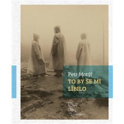 To by se mi líbilo