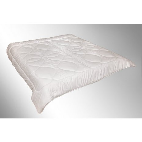 Brotex Francúzsky paplón celoročný AntiStress 240x200 1440g 