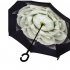 Obrátený dáždnik Zelený kvet