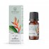 Aromatique Vonný olej 12ml Eco Natural TROPICAL FOREST