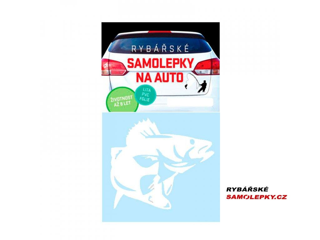 Rybarskesamolepky.cz Rybarskesamolepky - Samolepka Candát Bílá