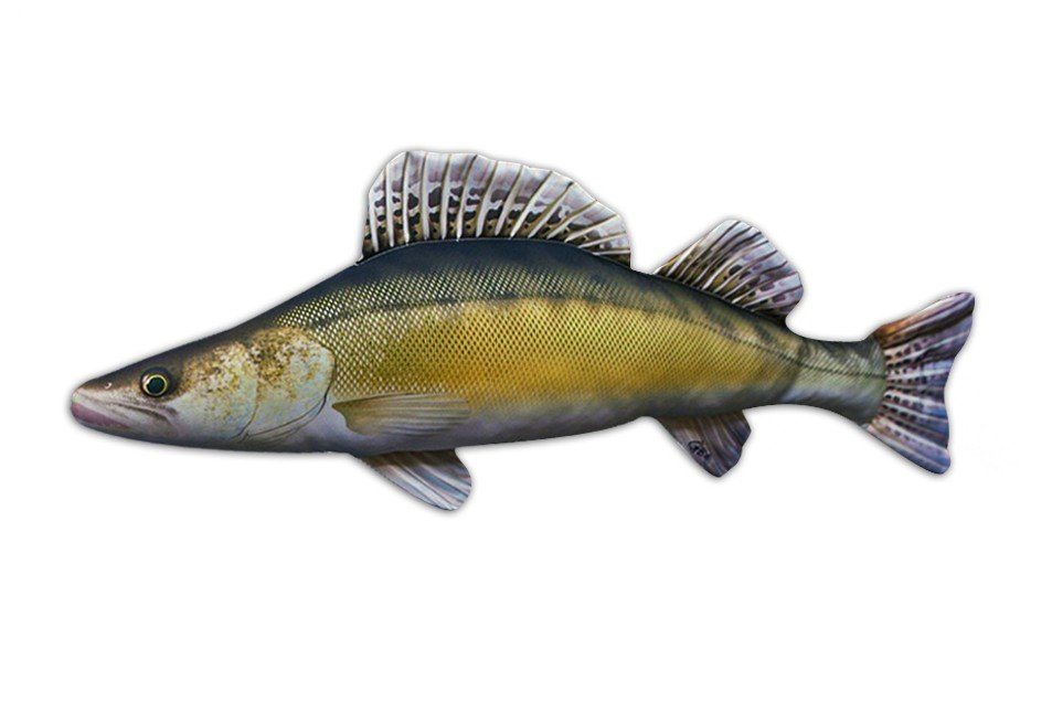 Gaby - Polštář plyšová ryba Candát obecný 77cm