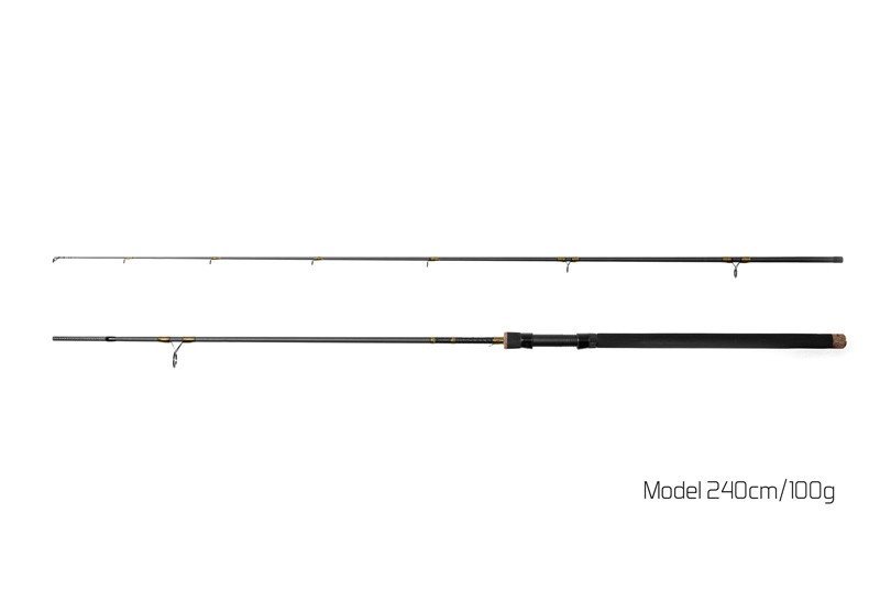 Delphin - Prut Murena 2,4m 100g 2díly