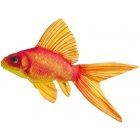 Gaby - Polštář / Plyšová ryba Zlatá rybka 60cm