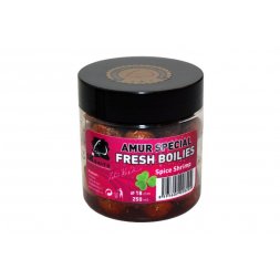 LK Baits - Fresh Boilie Amur Special Spice Shrimp 18mm 250ml
