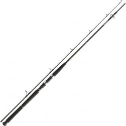 Prut Daiwa BG Boat 2,40 150-400g
