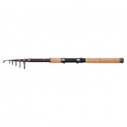 DAM - Prut BACKBONE II TELE 80 10'/3.00M M 30-80G 7SEC
