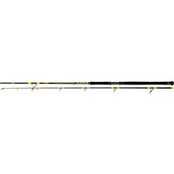 Black Cat - Prut Passion Pro DX Spin 2,70m 60-200g 2díly