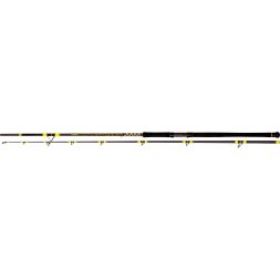 Black Cat - Prut Passion Pro DX 3,00m 600g 2díly