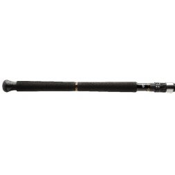 Daiwa - Prut BG Boat 2,1m 150-400g 2díly