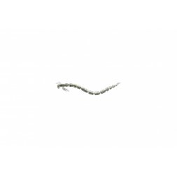 Westin - Gumová nástraha BloodTeez 5,5cm 0,5g Sparkling Grey 10ks