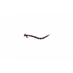 Westin - Gumová nástraha BloodTeez 5,5cm 0,5g Sweet Plum 10ks