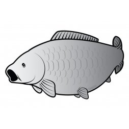 Delphin - Samolepka Kapr Silver