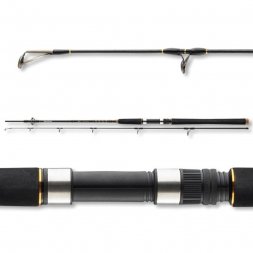Daiwa - Prut BG Pilk Offshore 2,40m 40-125g 2díly