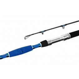 Delphin - Prut Hazard 3,1m 500g 2díly
