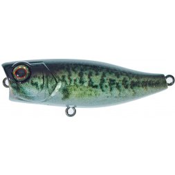 Illex - Wobler Chubby Popper 4,2cm RT Biwako Bass