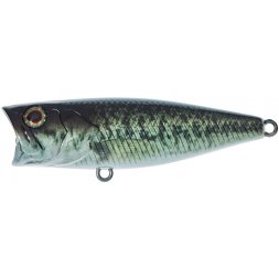 Illex - Wobler SK-POP Grande 6,5cm RT Biwako Bass