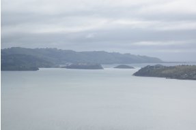 cesta z Dunedin do Otago Peninsula 
