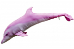 Gaby - Delfín albín - Růžový - 125 cm polštář