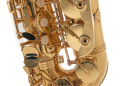 GEWApure Eb-Alt Saxofon Roy Benson AS-202