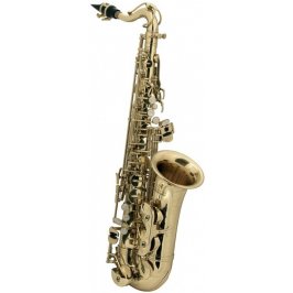 PURE GEWA Eb-ALT SAXOFON PRO DĚTI ROY BENSON