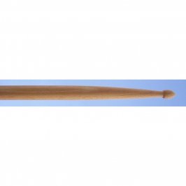 R-Stick Hornbeam 5B