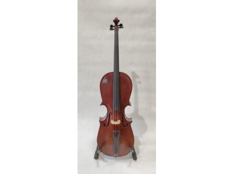 L. Turek atypické violoncello 