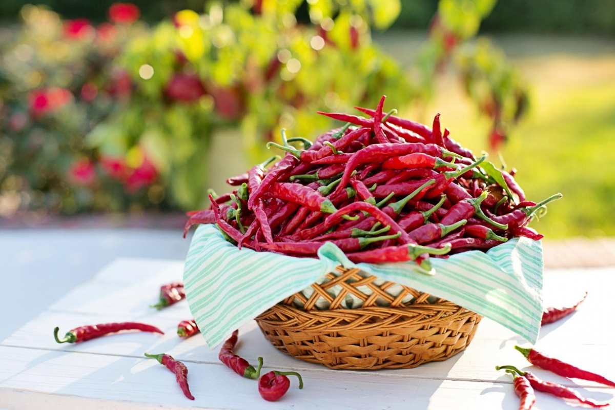 Zdravotní benefity chilli
