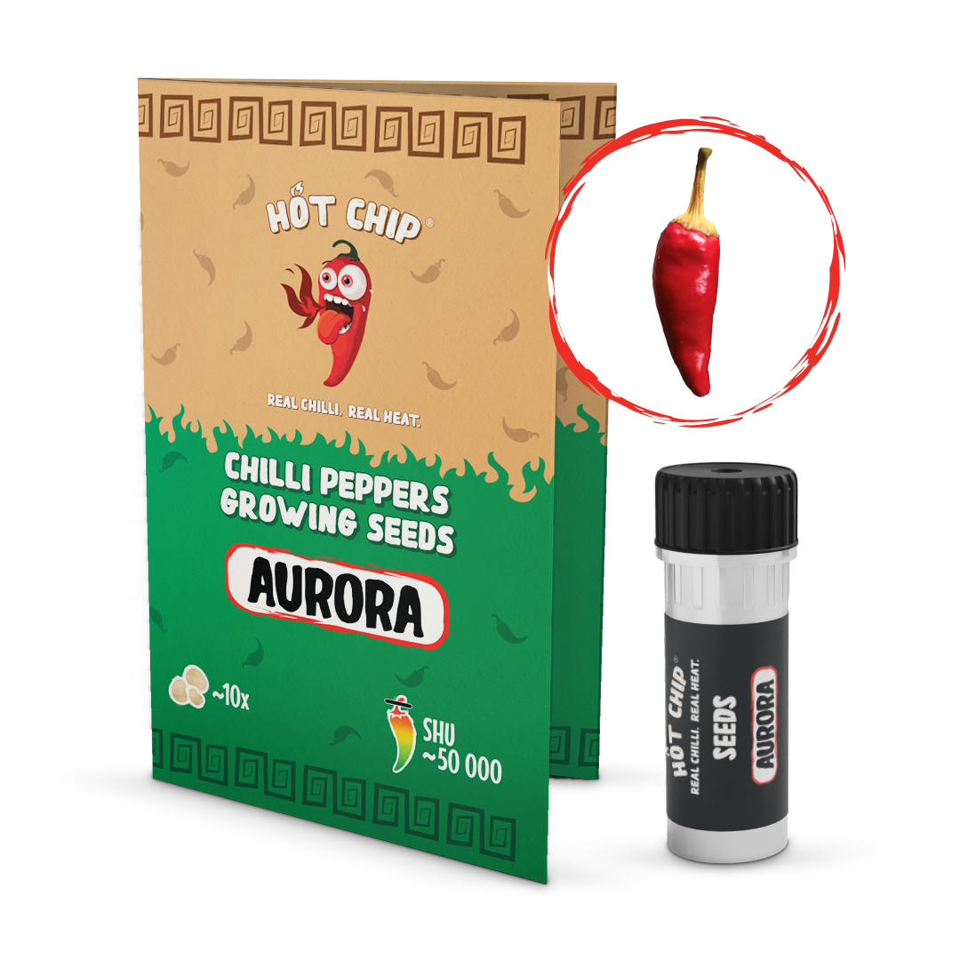 Aurora - chilli semínka