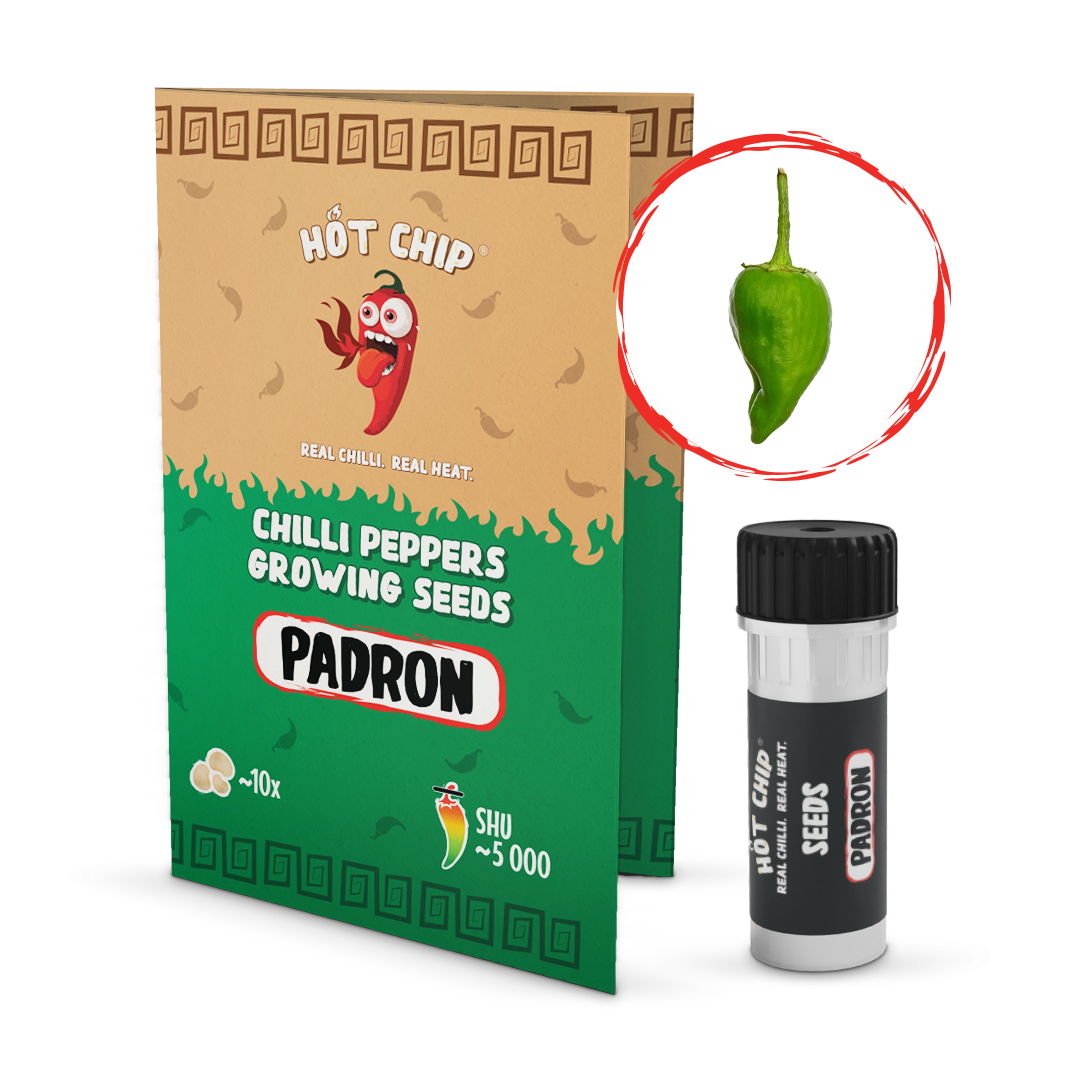 Padron - semínka chilli
