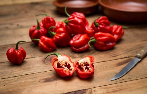 Carolina Reaper: The world's hottest chilli pepper