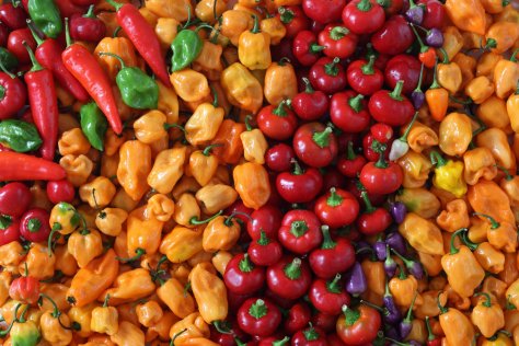 A brief history of chilli