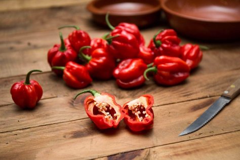 Carolina Reaper: The world's hottest chilli pepper