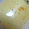 Přírodní tělové mléko se zlatými částicemi 200 ml