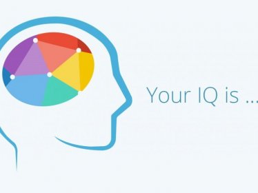 Testování IQ 2019