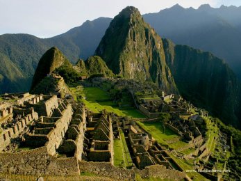 Přírodní medicína Inků