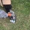 Kolíky pro robotické sekačky - 100 ks