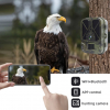 WiFi Fotopast Secutek SST-WiFi940Pro - 36MP, 4K